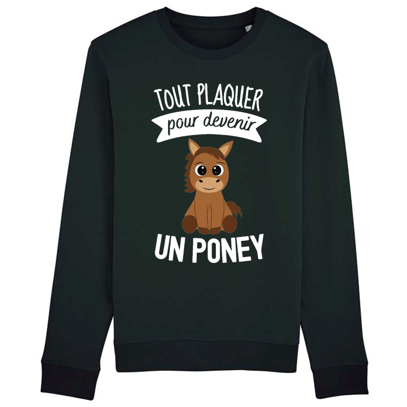 Sweat Adulte Tout plaquer pour devenir un poney