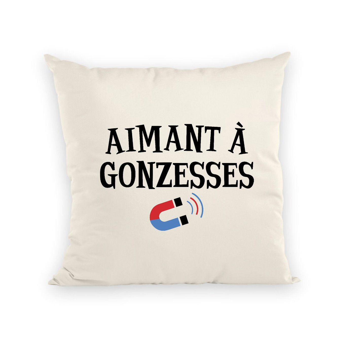 Coussin Aimant à gonzesses