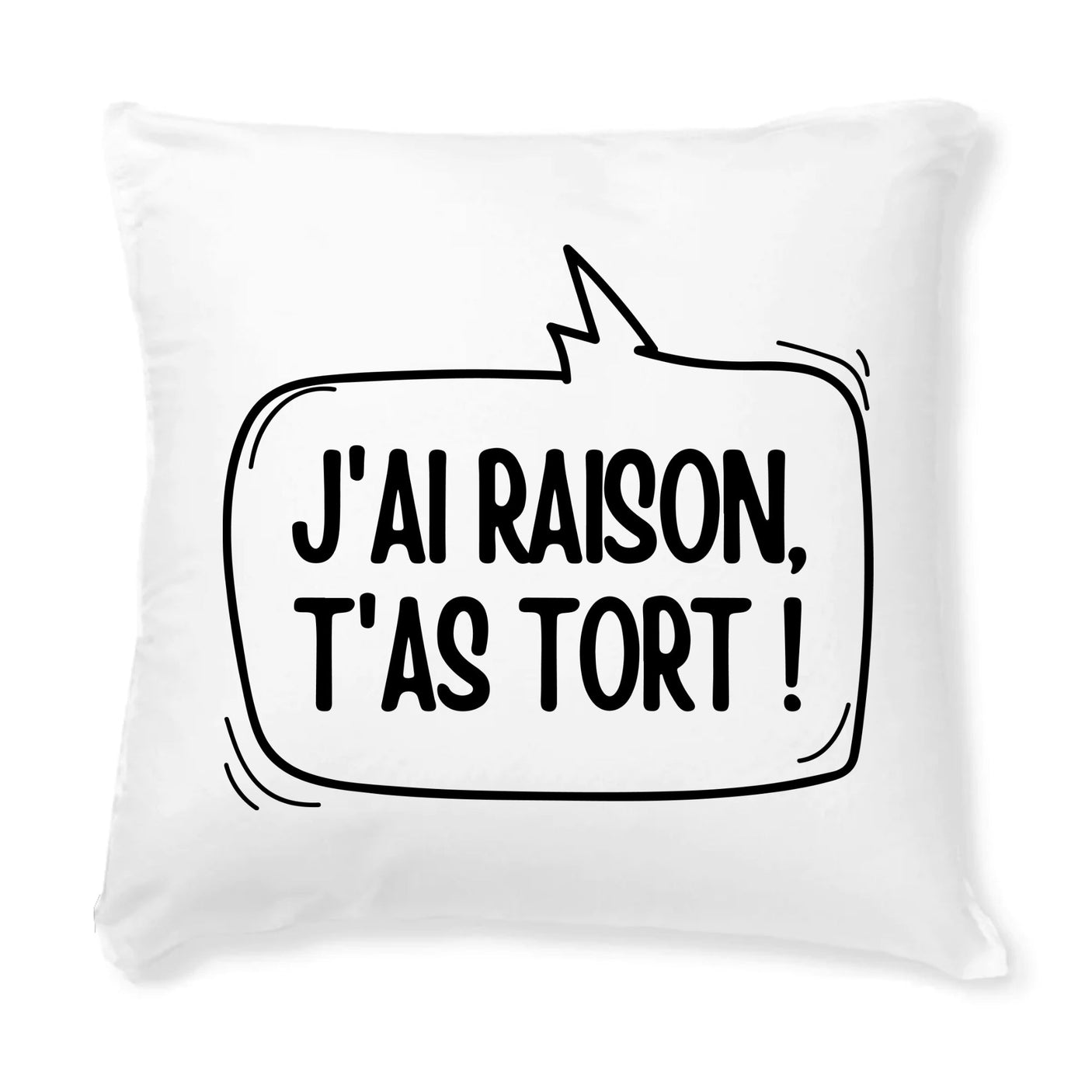 Coussin J'ai raison, t'as tort