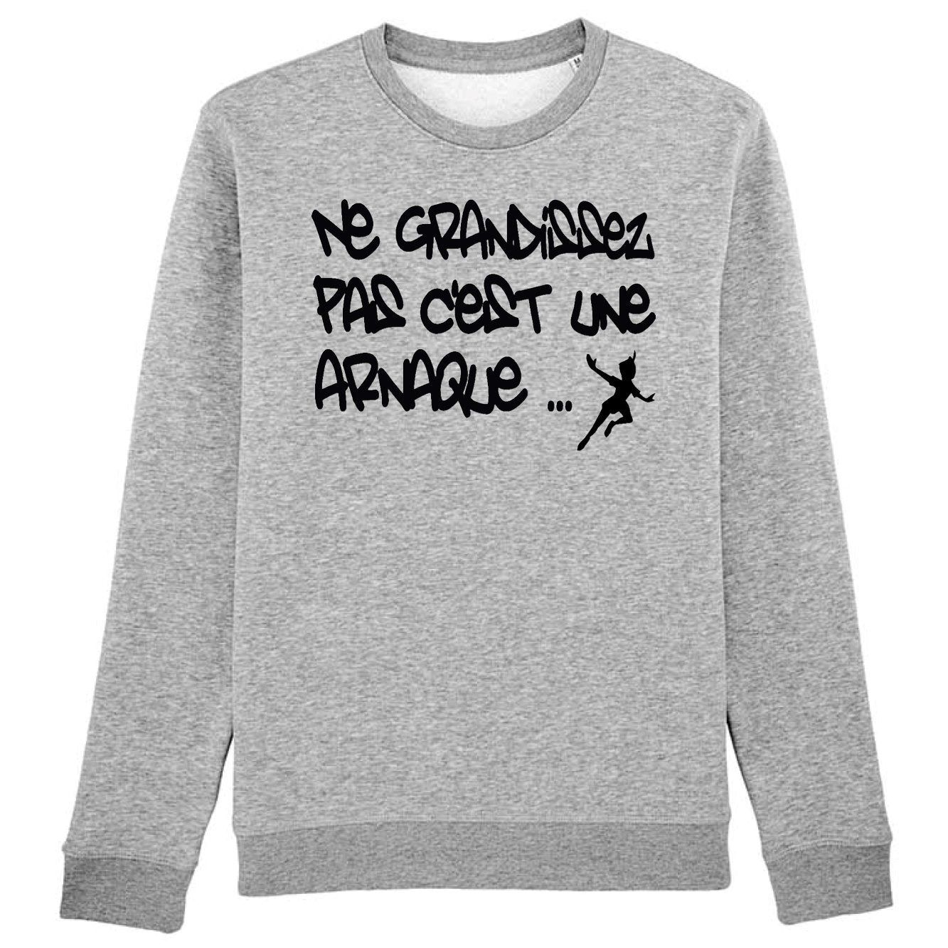 Sweat Adulte Ne grandissez pas c'est une arnaque