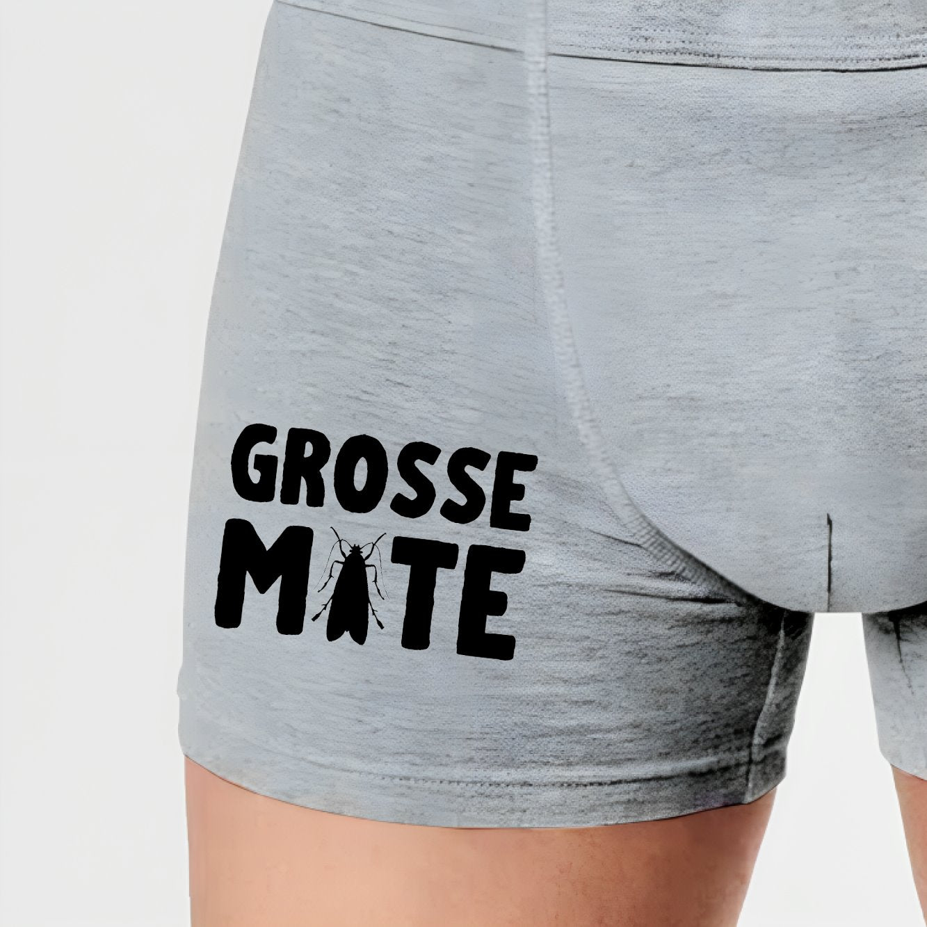 Boxer Homme Grosse mite Gris