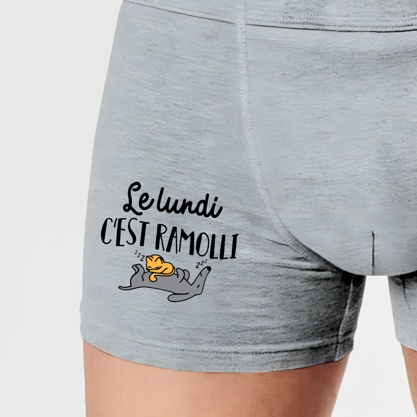 Boxer Homme Le lundi c'est ramolli Gris