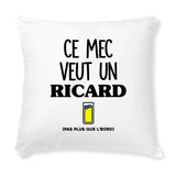 Coussin Ce mec veut un Ricard 