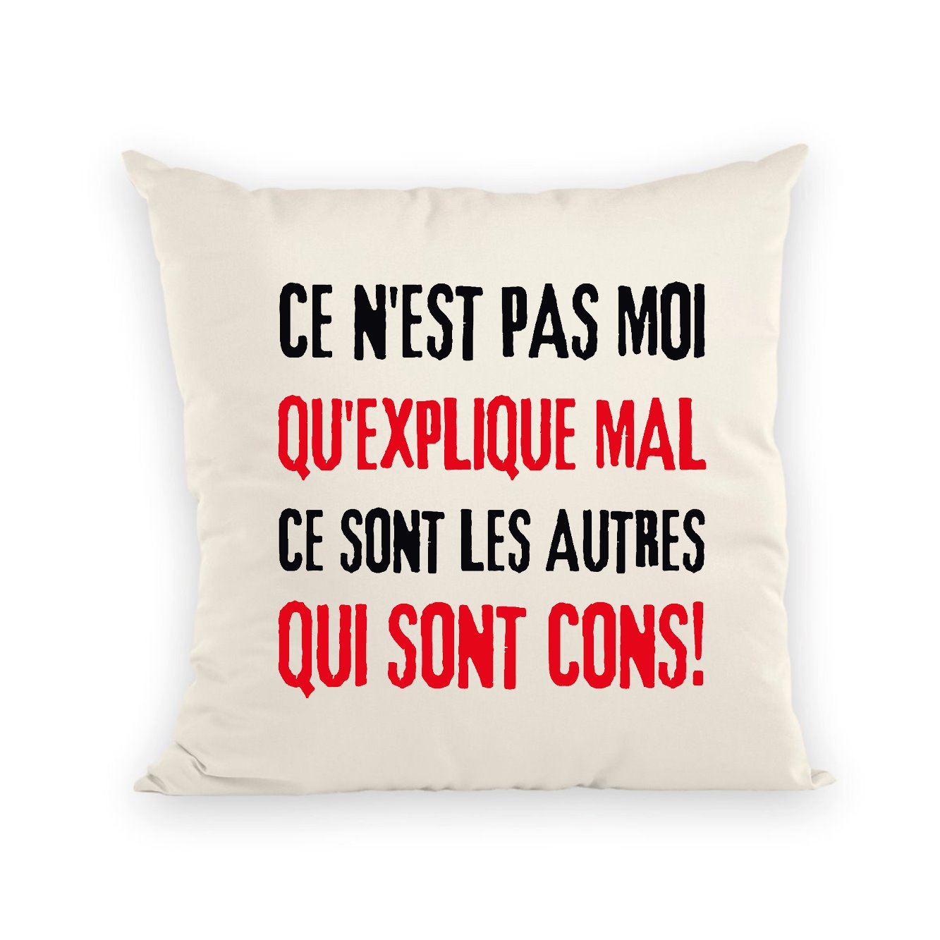 Coussin Ce n'est pas moi qui explique mal 