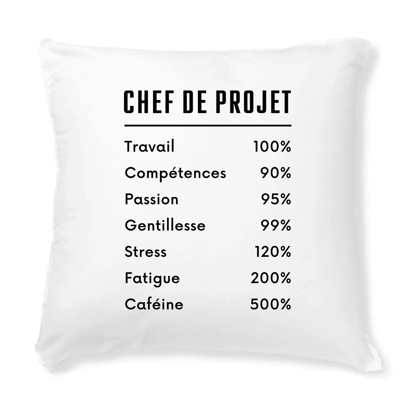 Coussin Chef de projet 