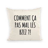 Coussin Comment ça pas mal les bzez ? 