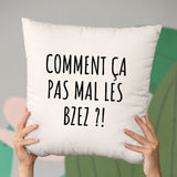 Coussin Comment ça pas mal les bzez ? Beige