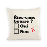 Coussin Êtes-vous bourré 