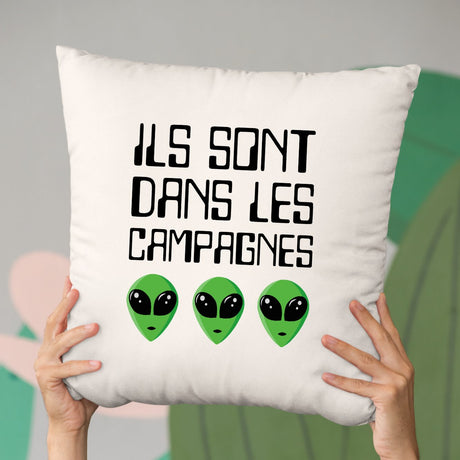 Coussin Ils sont dans les campagnes Beige