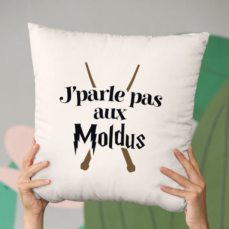 Coussin J'parle pas aux Moldus Beige