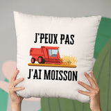 Coussin J'peux pas j'ai moisson Beige