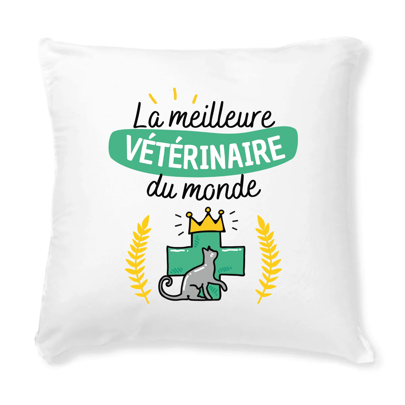 Coussin La meilleure vétérinaire du monde 