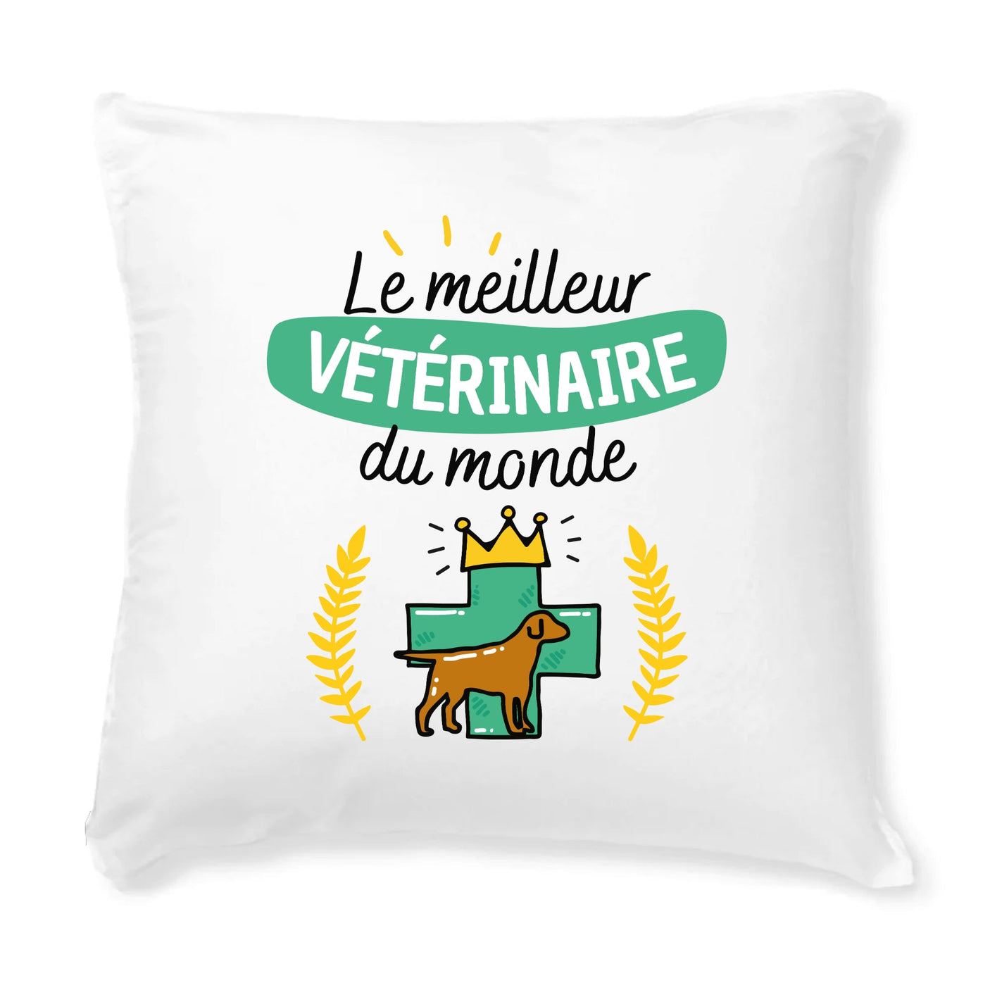 Coussin Le meilleur vétérinaire du monde 