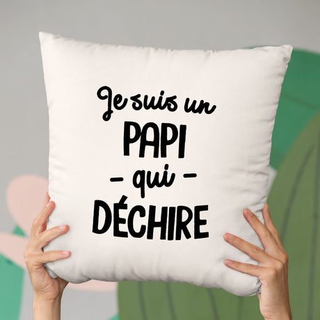 Coussin Papi qui déchire Beige