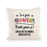 Coussin Tu es génial crois en tes rêves 