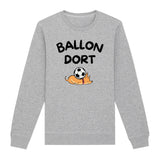 Sweat Adulte Ballon dort 