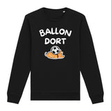 Sweat Adulte Ballon dort 