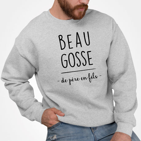 Sweat Adulte Beau gosse de père en fils Gris