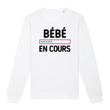 Sweat Adulte Bébé en cours 