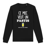 Sweat Adulte Ce mec veut un pastis 