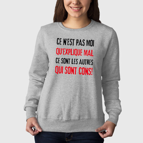 Sweat Adulte Ce n'est pas moi qui explique mal Gris