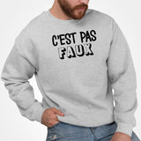 Sweat Adulte C'est pas faux Gris