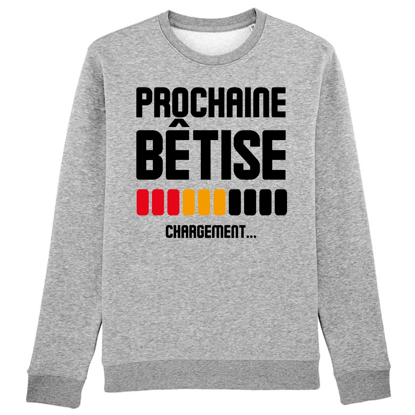 Sweat Adulte Chargement prochaine bêtise 