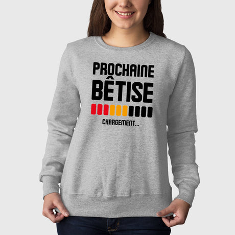 Sweat Adulte Chargement prochaine bêtise Gris