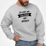 Sweat Adulte Collègue qui déchire Gris