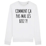 Sweat Adulte Comment ça pas mal les bzez ? 