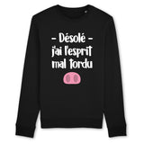 Sweat Adulte Esprit mal tordu 