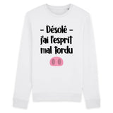 Sweat Adulte Esprit mal tordu 