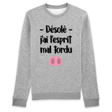 Sweat Adulte Esprit mal tordu 