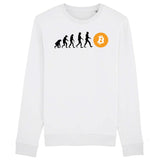 Sweat Adulte Évolution Bitcoin 