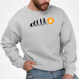 Sweat Adulte Évolution Bitcoin Gris