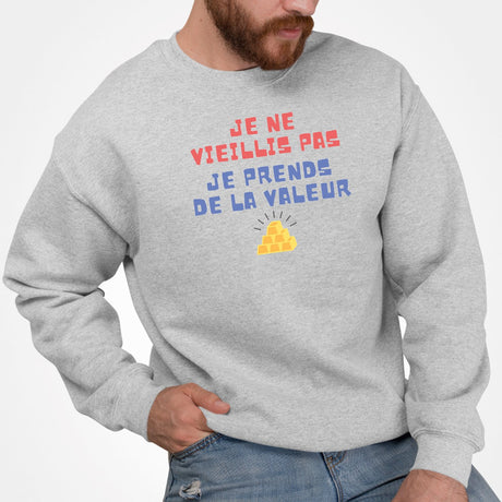 Sweat Adulte Je ne vieillis pas je prends de la valeur Gris