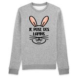 Sweat Adulte Je pose des lapins 