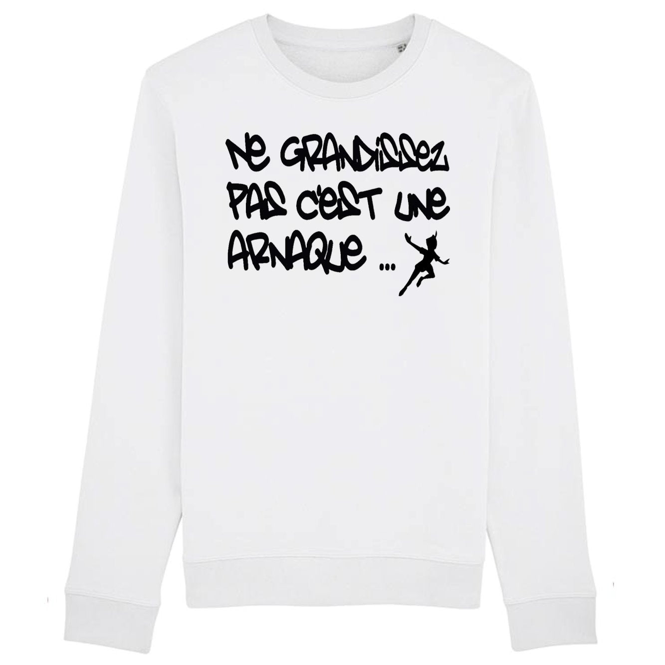 Sweat Adulte Ne grandissez pas c'est une arnaque 