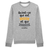 Sweat Adulte Qu'est-ce qui est jaune Jonathan 