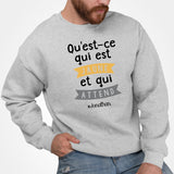 Sweat Adulte Qu'est-ce qui est jaune Jonathan Gris