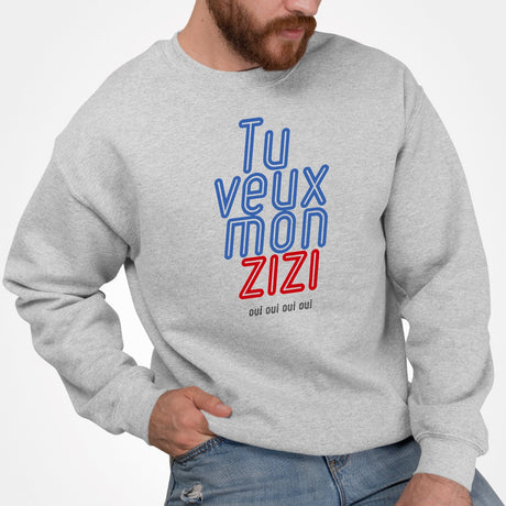 Sweat Adulte Tu veux mon zizi Gris