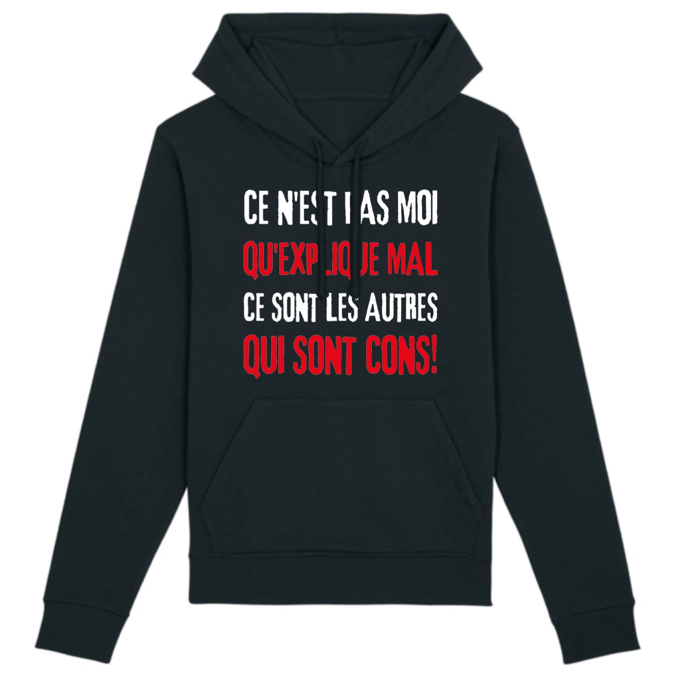 Sweat Capuche Adulte Ce n'est pas moi qui explique mal 