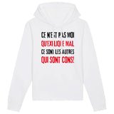 Sweat Capuche Adulte Ce n'est pas moi qui explique mal 