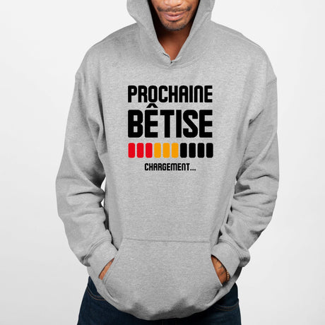 Sweat Capuche Adulte Chargement prochaine bêtise Gris