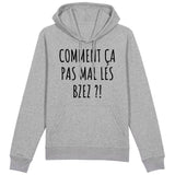 Sweat Capuche Adulte Comment ça pas mal les bzez ? 