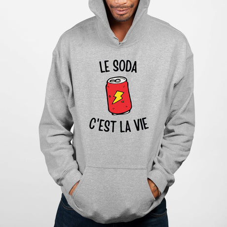 Sweat Capuche Adulte Le soda c'est la vie Gris