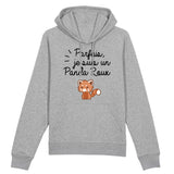 Sweat Capuche Adulte Panda roux 