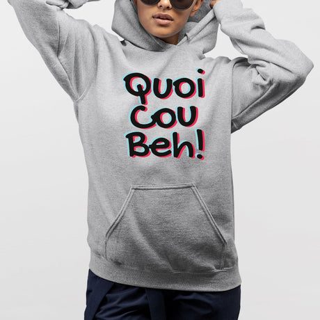 Sweat Capuche Adulte Quoicoubeh Gris