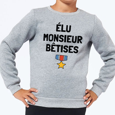 Sweat Enfant Élu monsieur bêtises Gris