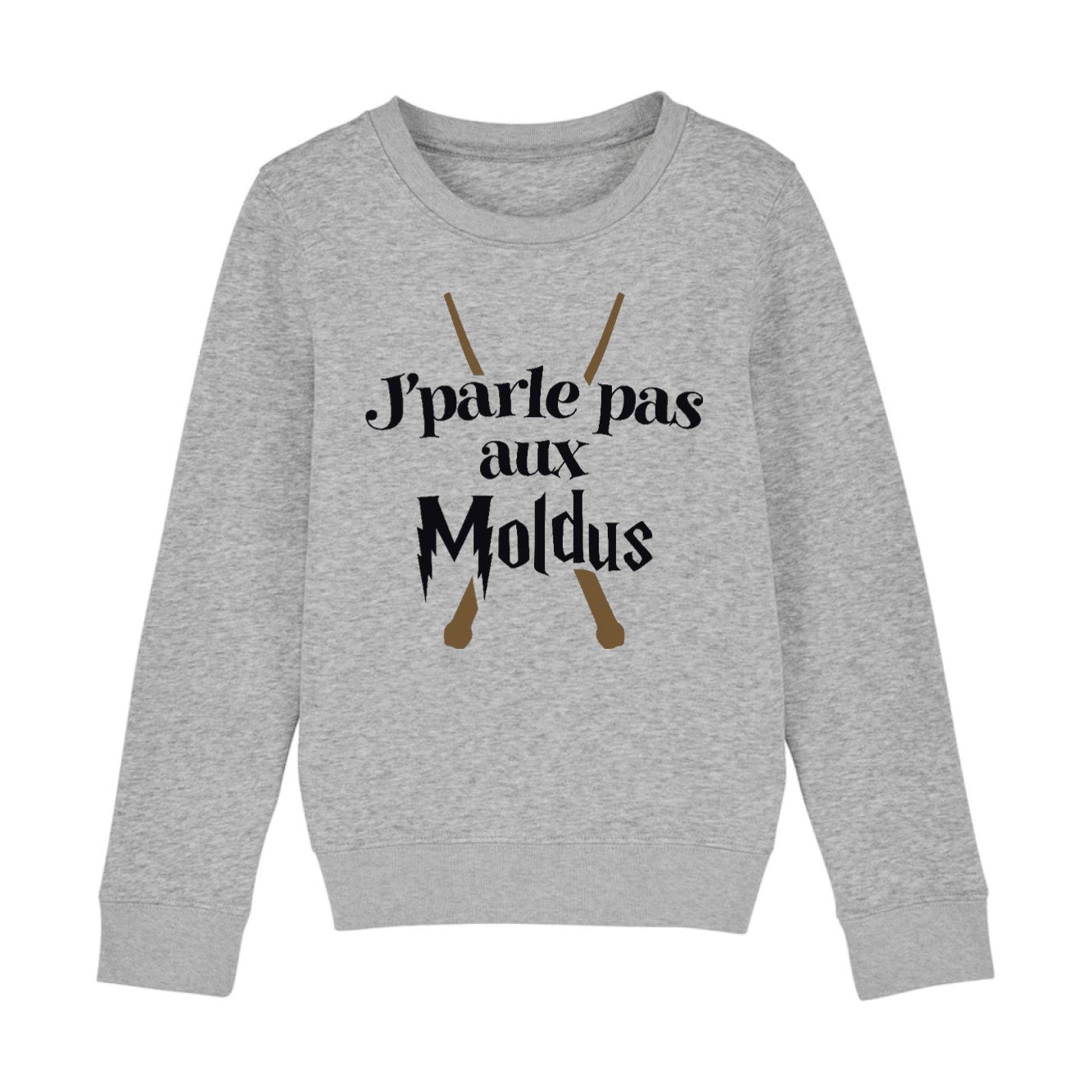 Sweat Enfant J'parle pas aux Moldus 